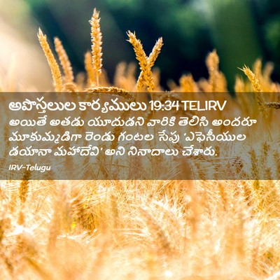 Picture 02 - అపొస్తలుల కార్యములు 19:34 TELIRV - అయితే అతడు - Bible Verse Picture