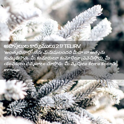 Picture 02 - అపొస్తలుల కార్యములు 2:17 TELIRV - ‘అంత్యదినాల్లో - Bible Verse Picture