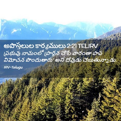 Picture 02 - అపొస్తలుల కార్యములు 2:21 TELIRV - ప్రభువు నామంలో - Bible Verse Picture
