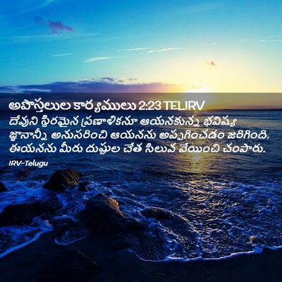 Picture 02 - అపొస్తలుల కార్యములు 2:23 TELIRV - దేవుని స్థిరమైన - Bible Verse Picture
