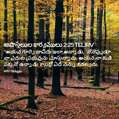 Picture 02 - అపొస్తలుల కార్యములు 2:25 TELIRV - “ఆయన గూర్చి - Bible Verse Picture