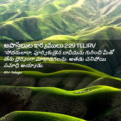 Picture 02 - అపొస్తలుల కార్యములు 2:29 TELIRV - “సోదరులారా, - Bible Verse Picture