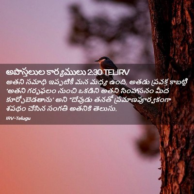 Picture 02 - అపొస్తలుల కార్యములు 2:30 TELIRV - అతని సమాధి - Bible Verse Picture