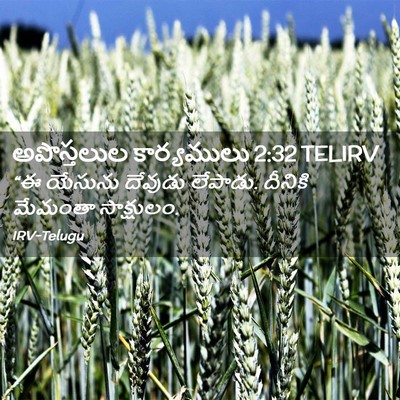 Picture 02 - అపొస్తలుల కార్యములు 2:32 TELIRV - “ఈ యేసును దేవుడు - Bible Verse Picture