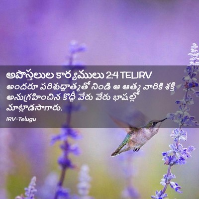 Picture 02 - అపొస్తలుల కార్యములు 2:4 TELIRV - అందరూ - Bible Verse Picture