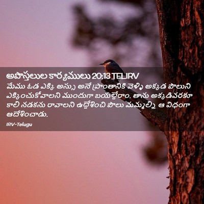 Picture 02 - అపొస్తలుల కార్యములు 20:13 TELIRV - మేము ఓడ ఎక్కి - Bible Verse Picture
