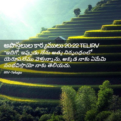 Picture 02 - అపొస్తలుల కార్యములు 20:22 TELIRV - “ఇదిగో, ఇప్పుడు - Bible Verse Picture