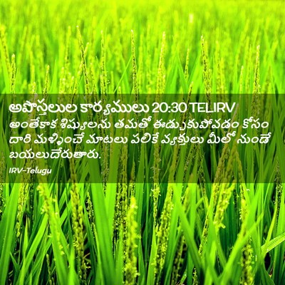 Picture 02 - అపొస్తలుల కార్యములు 20:30 TELIRV - అంతేకాక శిష్యులను - Bible Verse Picture