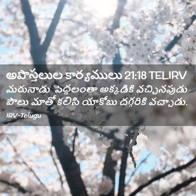 Picture 02 - అపొస్తలుల కార్యములు 21:18 TELIRV - మరునాడు పెద్దలంతా - Bible Verse Picture