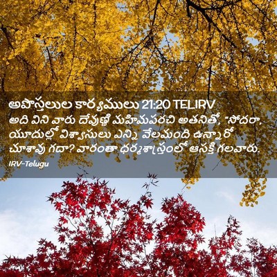 Picture 02 - అపొస్తలుల కార్యములు 21:20 TELIRV - అది విని వారు - Bible Verse Picture