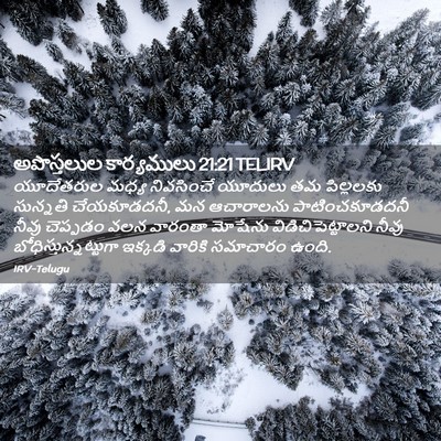 Picture 02 - అపొస్తలుల కార్యములు 21:21 TELIRV - యూదేతరుల మధ్య - Bible Verse Picture