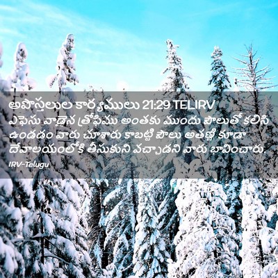 Picture 02 - అపొస్తలుల కార్యములు 21:29 TELIRV - ఎఫెసు వాడైన - Bible Verse Picture