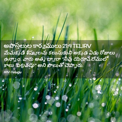 Picture 02 - అపొస్తలుల కార్యములు 21:4 TELIRV - మేమక్కడి - Bible Verse Picture