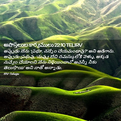 Picture 02 - అపొస్తలుల కార్యములు 22:10 TELIRV - అప్పుడు నేను - Bible Verse Picture