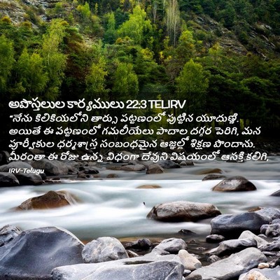 Picture 02 - అపొస్తలుల కార్యములు 22:3 TELIRV - “నేను కిలికియలోని - Bible Verse Picture