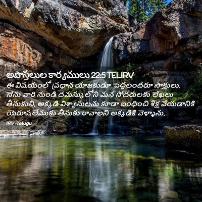 Picture 02 - అపొస్తలుల కార్యములు 22:5 TELIRV - ఈ విషయంలో ప్రధాన - Bible Verse Picture