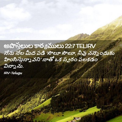 Picture 02 - అపొస్తలుల కార్యములు 22:7 TELIRV - నేను నేల మీద పడి - Bible Verse Picture