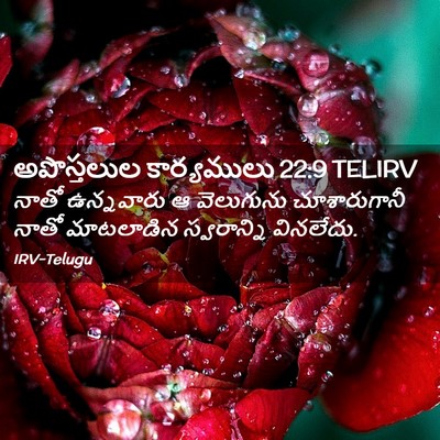 Picture 02 - అపొస్తలుల కార్యములు 22:9 TELIRV - నాతో ఉన్నవారు ఆ - Bible Verse Picture
