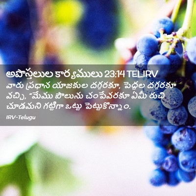 Picture 02 - అపొస్తలుల కార్యములు 23:14 TELIRV - వారు ప్రధాన - Bible Verse Picture