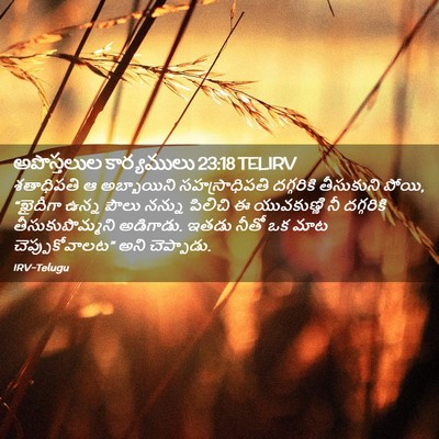 Picture 02 - అపొస్తలుల కార్యములు 23:18 TELIRV - శతాధిపతి ఆ - Bible Verse Picture