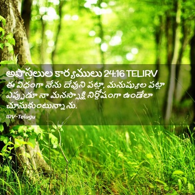 Picture 02 - అపొస్తలుల కార్యములు 24:16 TELIRV - ఈ విధంగా నేను - Bible Verse Picture