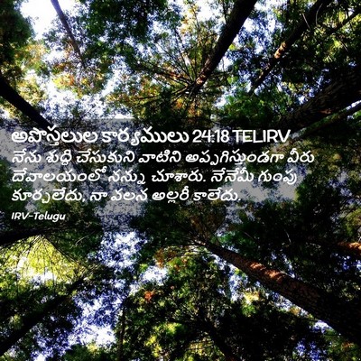 Picture 02 - అపొస్తలుల కార్యములు 24:18 TELIRV - నేను శుద్ధి - Bible Verse Picture