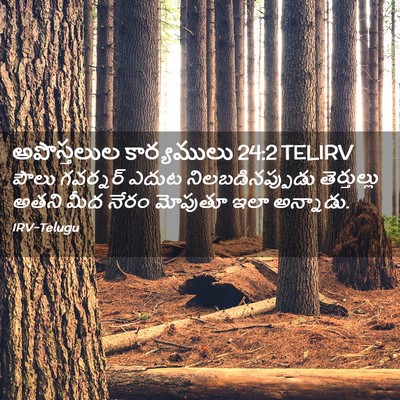 Picture 02 - అపొస్తలుల కార్యములు 24:2 TELIRV - పౌలు గవర్నర్ ఎదుట - Bible Verse Picture
