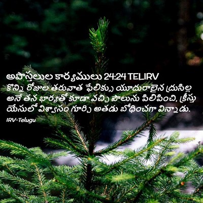 Picture 02 - అపొస్తలుల కార్యములు 24:24 TELIRV - కొన్ని రోజుల - Bible Verse Picture