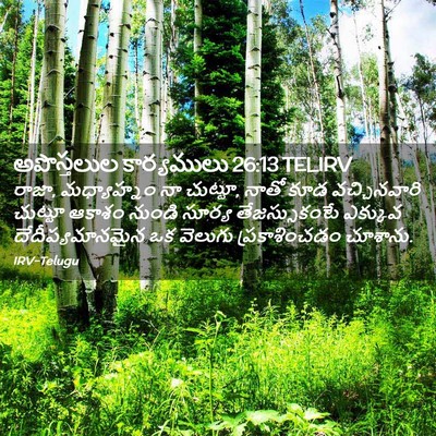 Picture 02 - అపొస్తలుల కార్యములు 26:13 TELIRV - రాజా, మధ్యాహ్నం నా - Bible Verse Picture