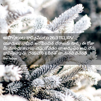Picture 02 - అపొస్తలుల కార్యములు 26:3 TELIRV - యూదులు నామీద - Bible Verse Picture