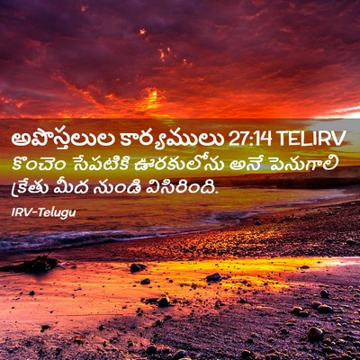 Picture 02 - అపొస్తలుల కార్యములు 27:14 TELIRV - కొంచెం సేపటికి - Bible Verse Picture