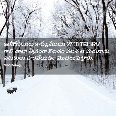 Picture 02 - అపొస్తలుల కార్యములు 27:18 TELIRV - గాలి చాలా - Bible Verse Picture