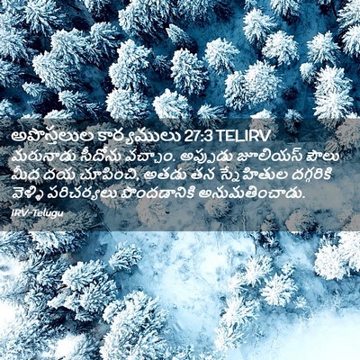 Picture 02 - అపొస్తలుల కార్యములు 27:3 TELIRV - మరునాడు సీదోను - Bible Verse Picture