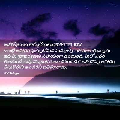 Picture 02 - అపొస్తలుల కార్యములు 27:34 TELIRV - కాబట్టి ఆహారం - Bible Verse Picture