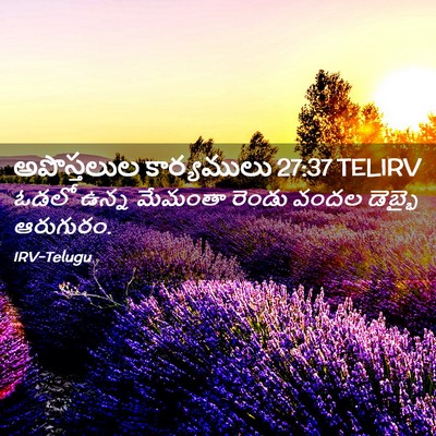 Picture 02 - అపొస్తలుల కార్యములు 27:37 TELIRV - ఓడలో ఉన్న మేమంతా - Bible Verse Picture