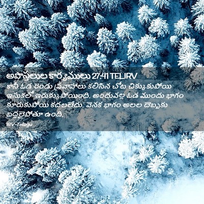 Picture 02 - అపొస్తలుల కార్యములు 27:41 TELIRV - కానీ ఓడ రెండు - Bible Verse Picture