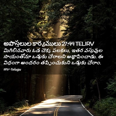 Picture 02 - అపొస్తలుల కార్యములు 27:44 TELIRV - మిగిలినవారు ఓడ - Bible Verse Picture
