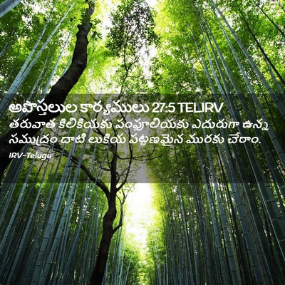 Picture 02 - అపొస్తలుల కార్యములు 27:5 TELIRV - తరువాత కిలికియకు - Bible Verse Picture