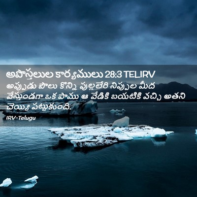 Picture 02 - అపొస్తలుల కార్యములు 28:3 TELIRV - అప్పుడు పౌలు - Bible Verse Picture
