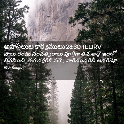 Picture 02 - అపొస్తలుల కార్యములు 28:30 TELIRV - పౌలు రెండు - Bible Verse Picture