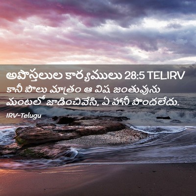 Picture 02 - అపొస్తలుల కార్యములు 28:5 TELIRV - కానీ పౌలు మాత్రం ఆ - Bible Verse Picture