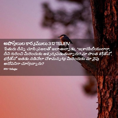 Picture 02 - అపొస్తలుల కార్యములు 3:12 TELIRV - పేతురు దీన్ని - Bible Verse Picture
