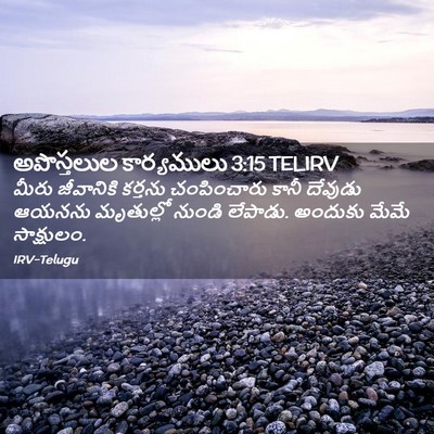 Picture 02 - అపొస్తలుల కార్యములు 3:15 TELIRV - మీరు జీవానికి - Bible Verse Picture