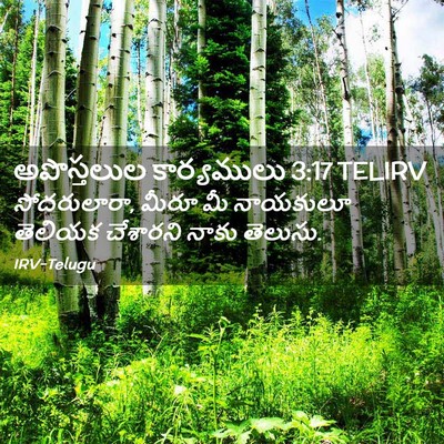 Picture 02 - అపొస్తలుల కార్యములు 3:17 TELIRV - సోదరులారా, మీరూ మీ - Bible Verse Picture