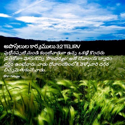 Picture 02 - అపొస్తలుల కార్యములు 3:2 TELIRV - పుట్టినప్పటి - Bible Verse Picture