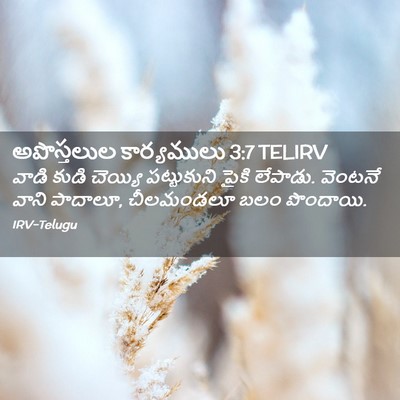 Picture 02 - అపొస్తలుల కార్యములు 3:7 TELIRV - వాడి కుడి చెయ్యి - Bible Verse Picture