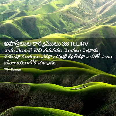 Picture 02 - అపొస్తలుల కార్యములు 3:8 TELIRV - వాడు వెంటనే లేచి - Bible Verse Picture