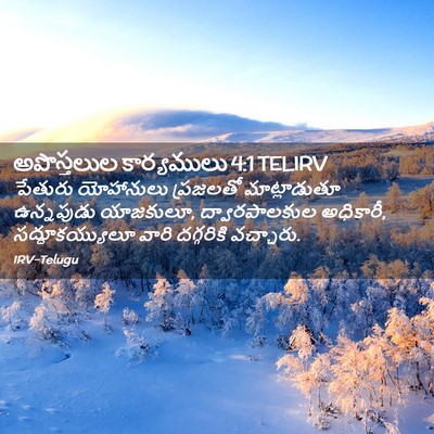 Picture 02 - అపొస్తలుల కార్యములు 4:1 TELIRV - పేతురు యోహానులు - Bible Verse Picture
