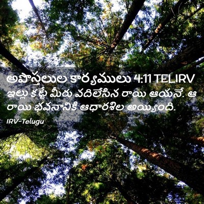 Picture 02 - అపొస్తలుల కార్యములు 4:11 TELIRV - ఇల్లు కట్టే మీరు - Bible Verse Picture
