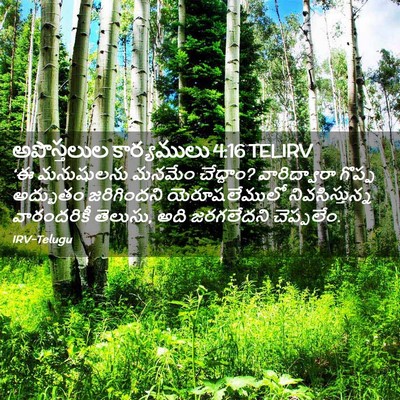 Picture 02 - అపొస్తలుల కార్యములు 4:16 TELIRV - ‘ఈ మనుషులను మనమేం - Bible Verse Picture